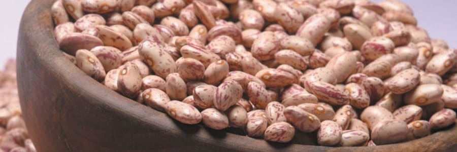 Rüyada Barbunya görmek