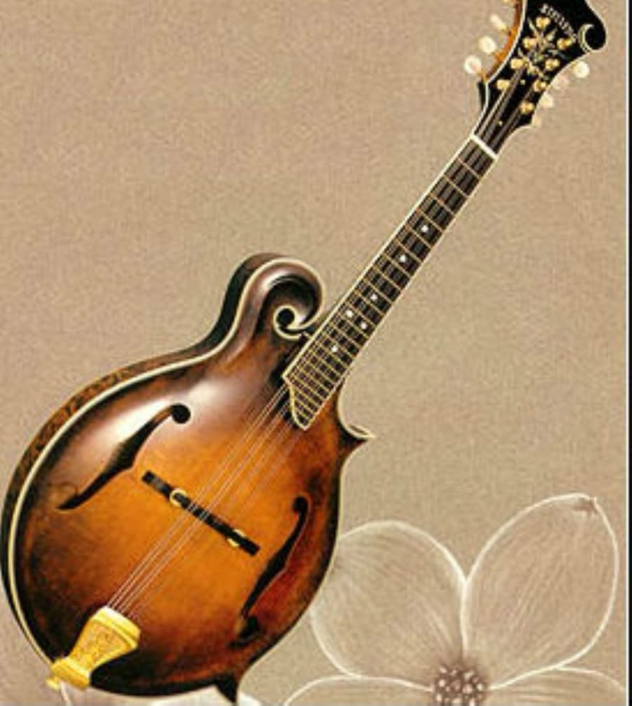 Rüyada Mandolin görmek